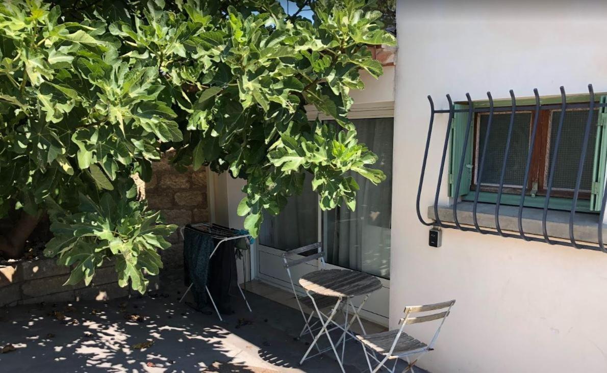 Le Nid Castries - Charmant Logement Complet Et Equipe Centre Castries Proche Montpellier Εξωτερικό φωτογραφία